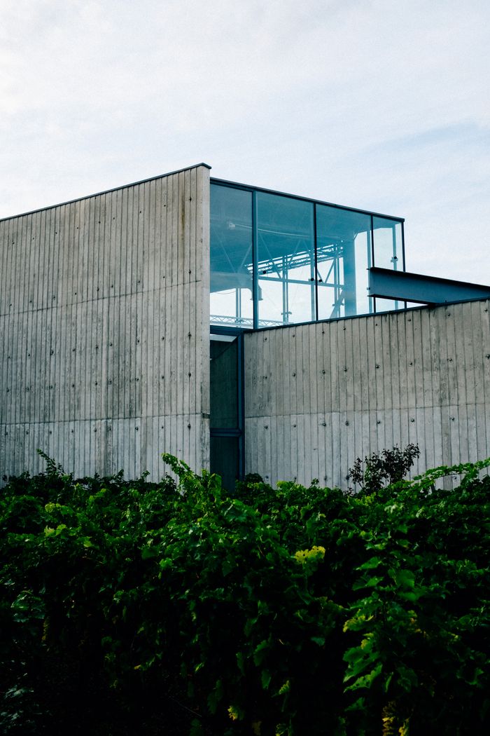 Back side of contemporary glass building covered with asbestos cement boards near lush greenery
